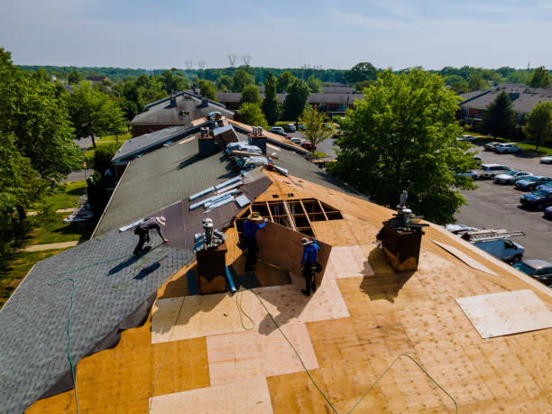 Quick and Trustworthy Emergency Roof Repair Services in Zellwood, FL